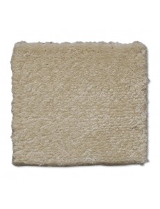 AM-CC-H-5473 Solid H-5338